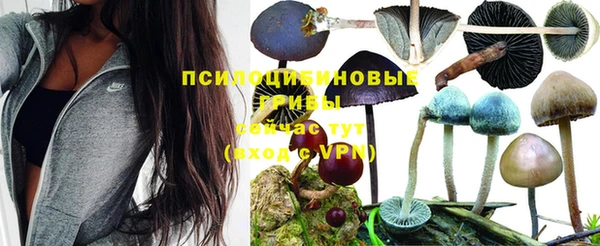 мет Киренск