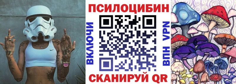 где найти   Кашира  Псилоцибиновые грибы прущие грибы 