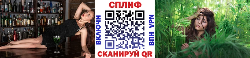 Канабис THC 21% Кашира