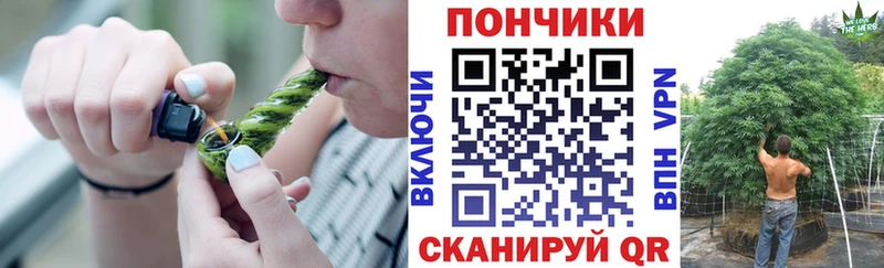 Конопля план  Кашира 
